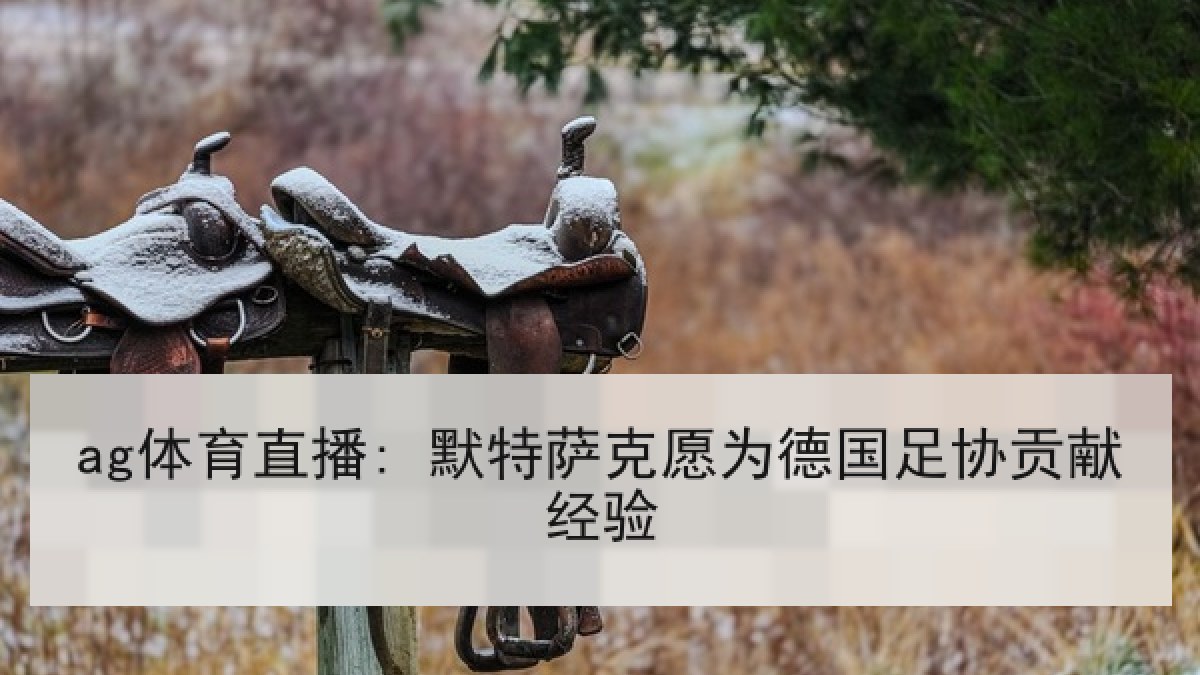 ag体育直播: 默特萨克愿为德国足协贡献经验