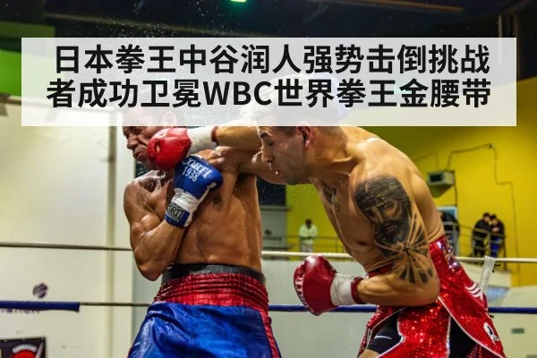 日本拳王中谷润人强势击倒挑战者成功卫冕WBC世界拳王金腰带