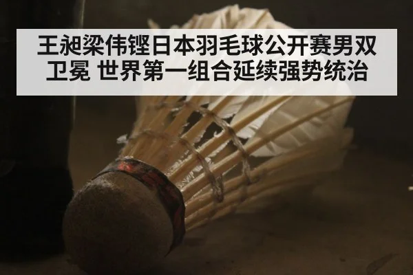 王昶梁伟铿日本羽毛球公开赛男双卫冕 世界第一组合延续强势统治