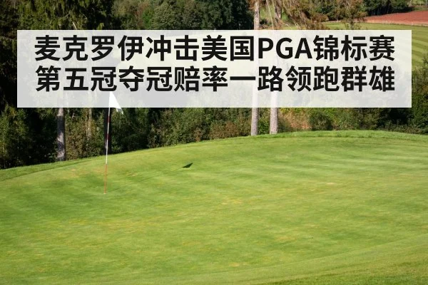 麦克罗伊冲击美国PGA锦标赛第五冠夺冠赔率一路领跑群雄