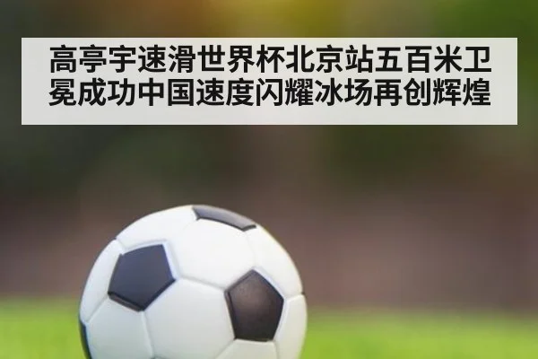 高亭宇速滑世界杯北京站五百米卫冕成功中国速度闪耀冰场再创辉煌